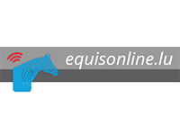 Logo Equis Online